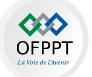 Partenaire 2
